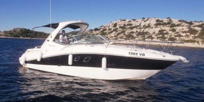 Sea Ray 335 (26)
